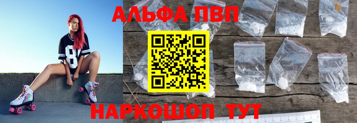Альфа ПВП СК Елизово