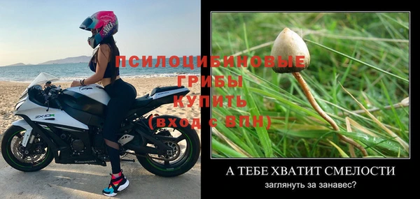 герыч Алзамай