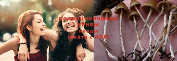 кокс Алексин