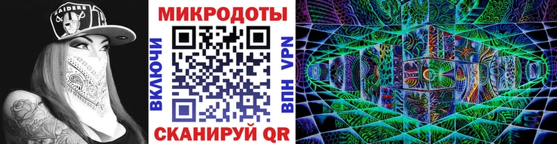 закладка  Елизово  Галлюциногенные грибы MAGIC MUSHROOMS 