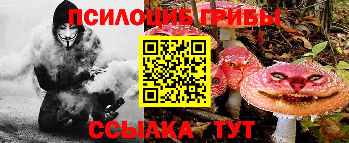 Галлюциногенные грибы MAGIC MUSHROOMS Елизово