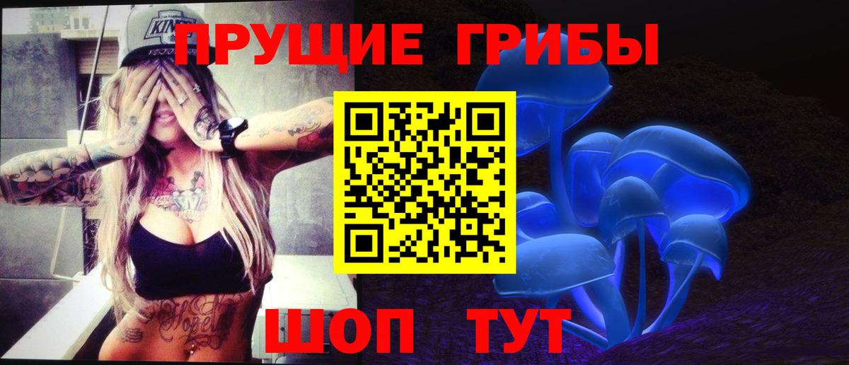 Псилоцибиновые грибы Cubensis  Псилоцибиновые грибы Cubensis  Елизово  где продают   Вход с VPN 